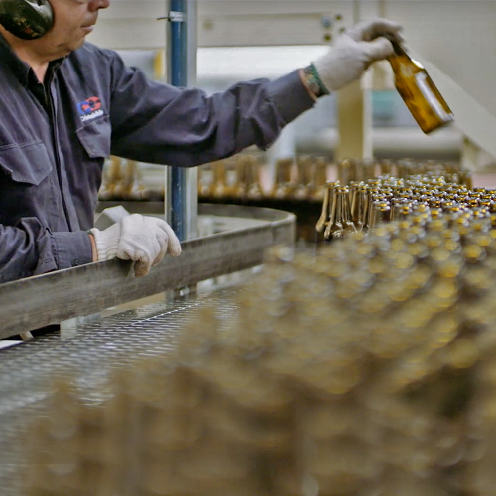 Líneas de Producción